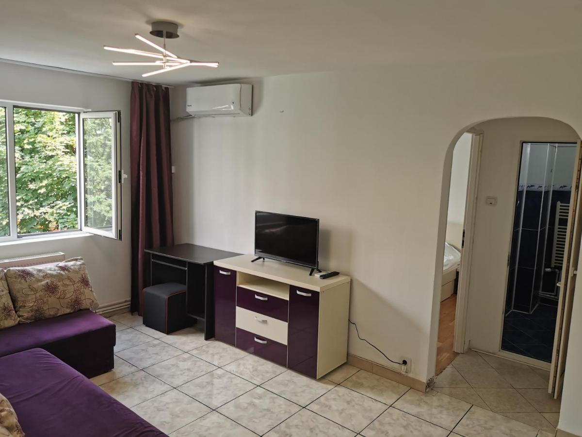 Confortable Cozy Apt Bükreş Oda fotoğraf